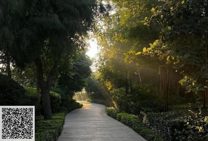 15950575 - Property Image 3