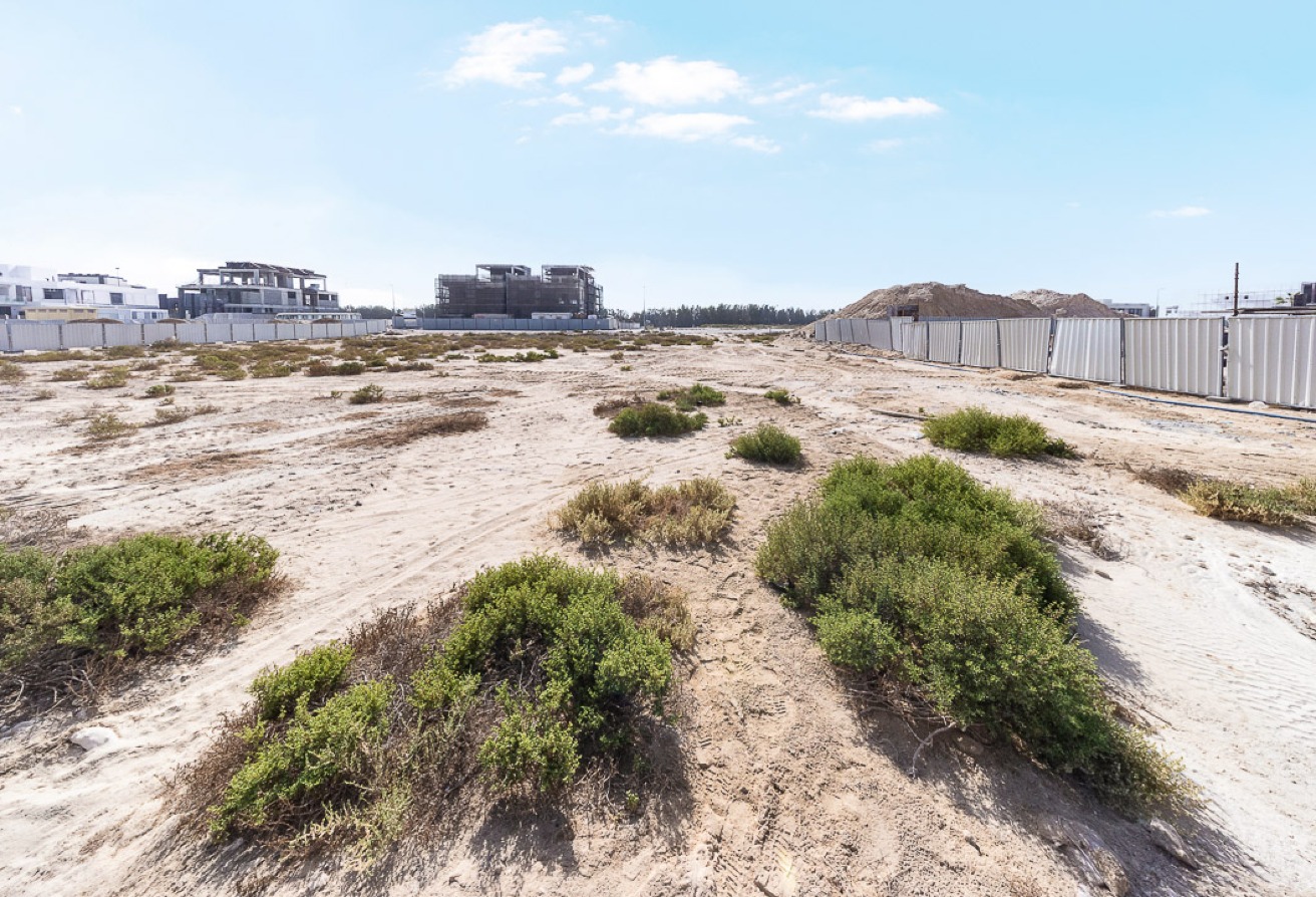 Studio land in Nad Al Sheba Gardens 1, Nad Al Sheba: 10