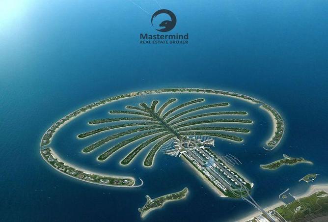 16296023 - Property Image 3