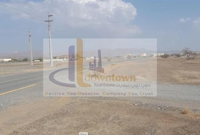 16203582 - صورة العقار 2