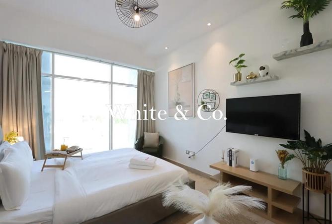 145502690 - Property Image 3