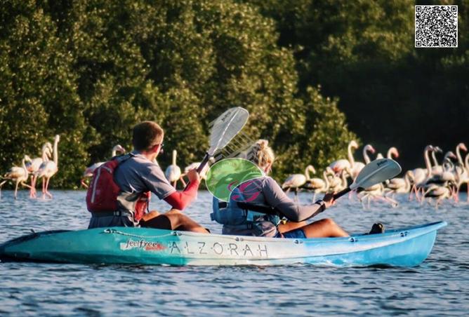 55342618 - صورة العقار 2