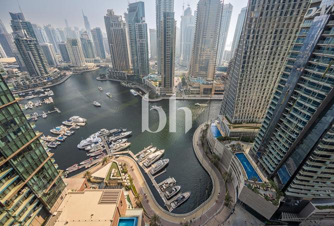 16164435 - صورة العقار 2