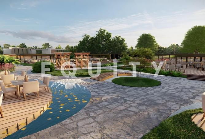 62072426 - Property Image 3