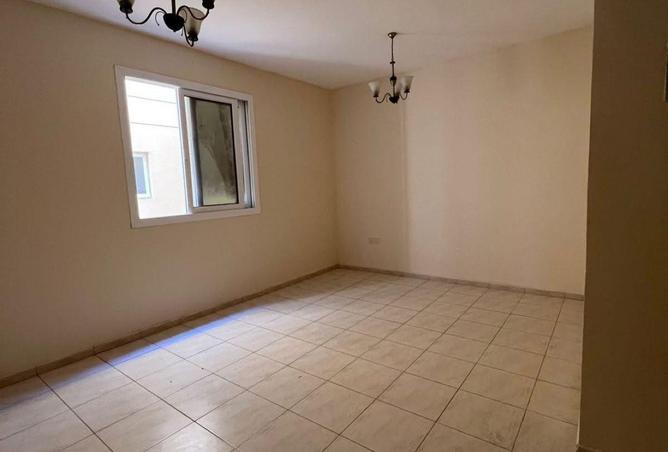 55358211 - Property Image 3