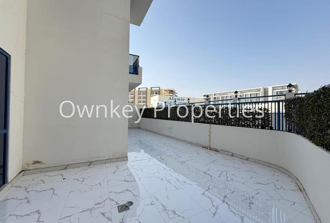 16247890 - صورة العقار 3