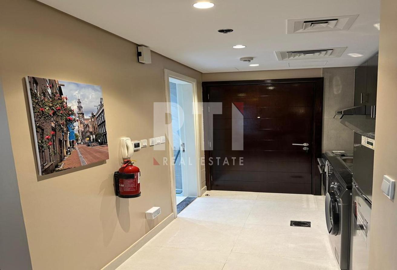 FULLY UPGRADED |NEWLY FURNISHED | SPACIOUS photo 11