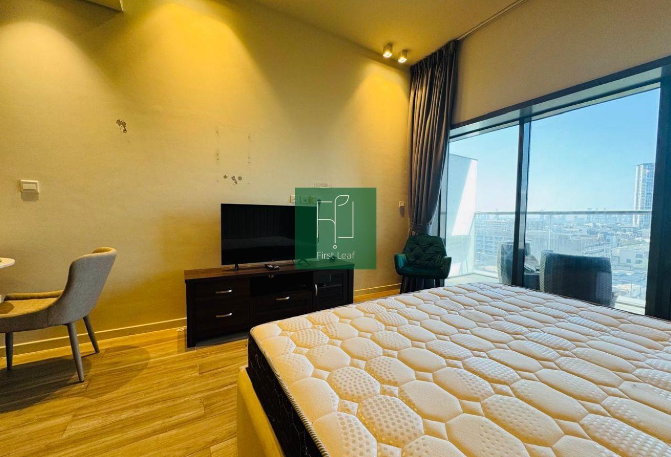 FULLY FURNISHED | WELL MAINTAINED | PARK VIEW photo 10