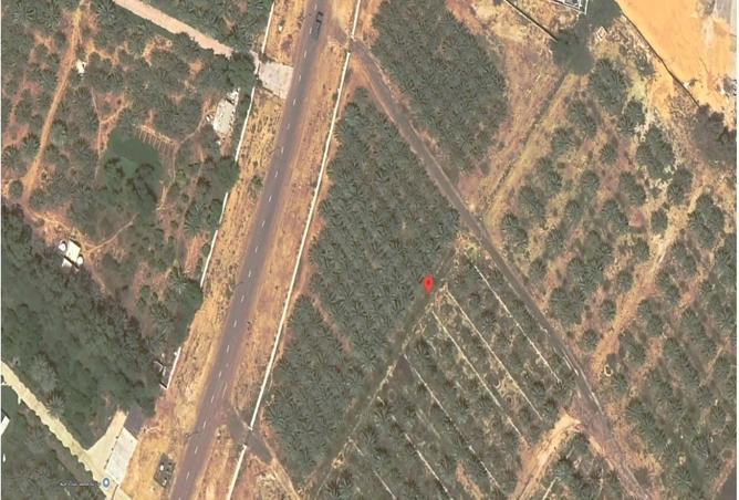 15997072 - صورة العقار 2