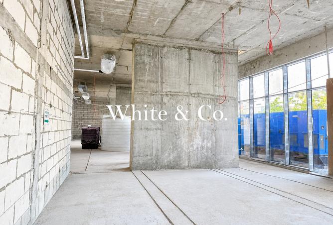 132014914 - Property Image 3