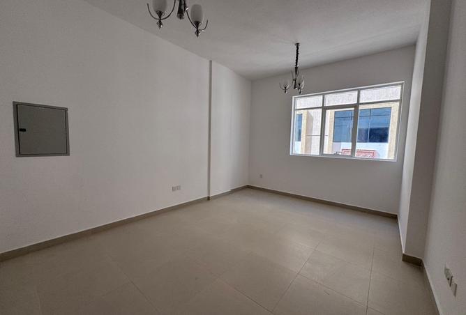 131102542 - Property Image 3