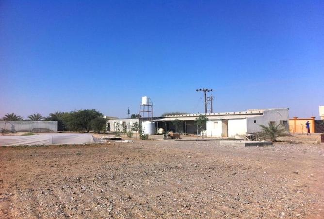 16141739 - صورة العقار 2