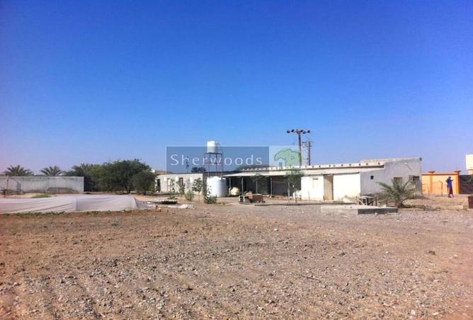 16141739 - صورة العقار 2