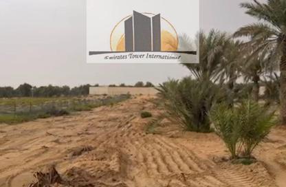 مزرعة - استوديو للبيع في برج العين - شارع الخالدية - الخالدية - أبوظبي مزرعة - استوديو للبيع في برج العين - شارع الخالدية - الخالدية - أبوظبي