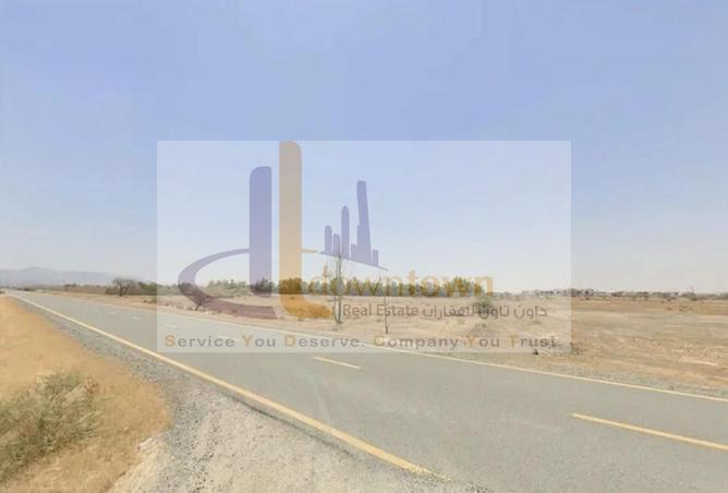 16187811 - Property Image 2