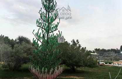 Farm - Studio - 6 for rent in Al Zubair 1 - Al Zubair - Sharjah