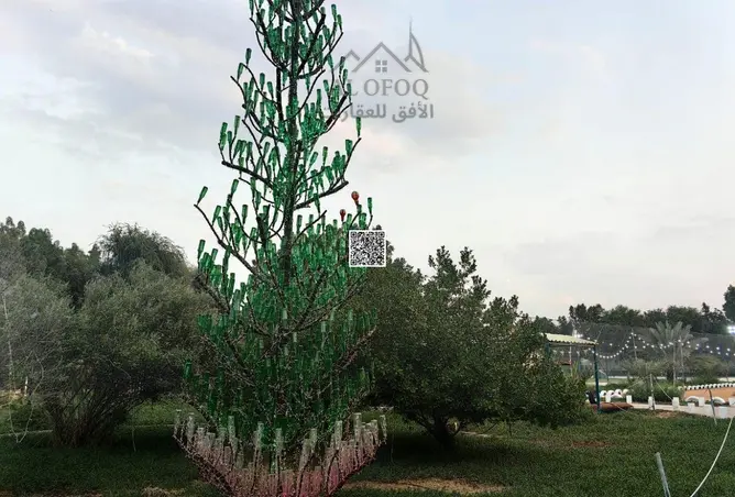 147323427 - Property Image 3