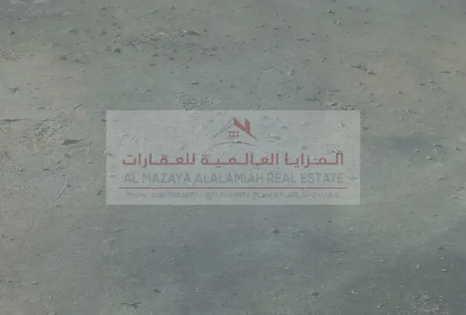 141460002 - صورة العقار 3