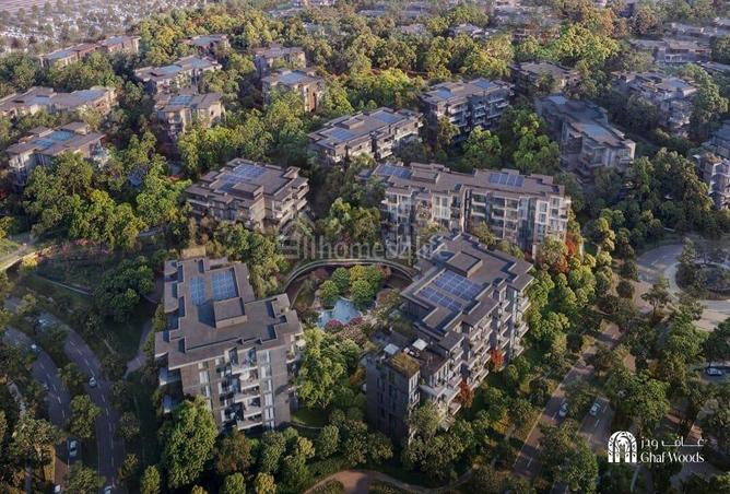 113732558 - Property Image 3