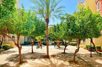 Apartment - Studio - 1 Bathroom for rent in Building 148 - Mogul Cluster - Discovery Gardens - Dubai