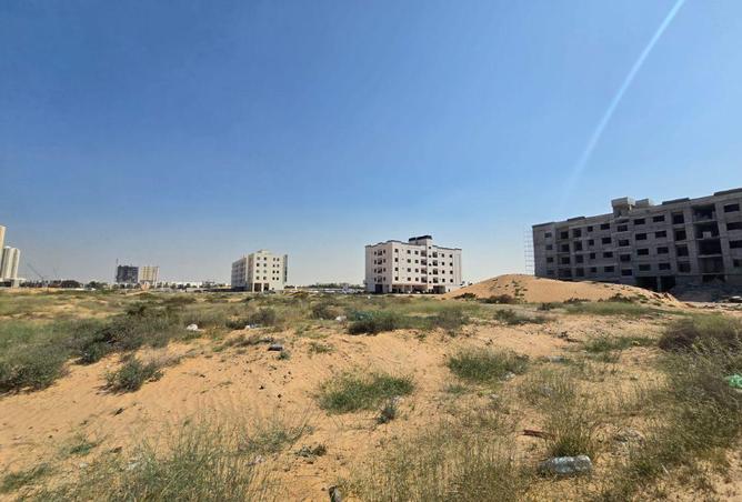 55756505 - Property Image 3