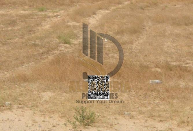 16240101 - Property Image 3