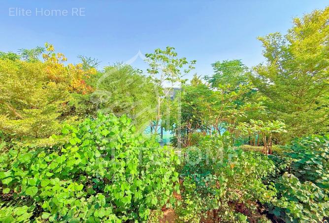 63264540 - Property Main Image