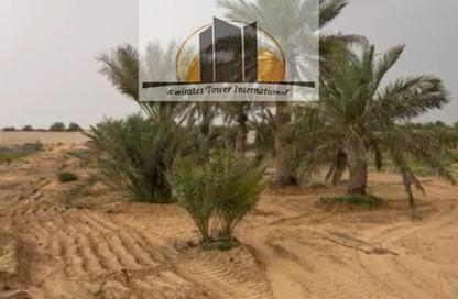 Farm - Studio for sale in Al Ain Tower - Khalidiya Street - Al Khalidiya - Abu Dhabi