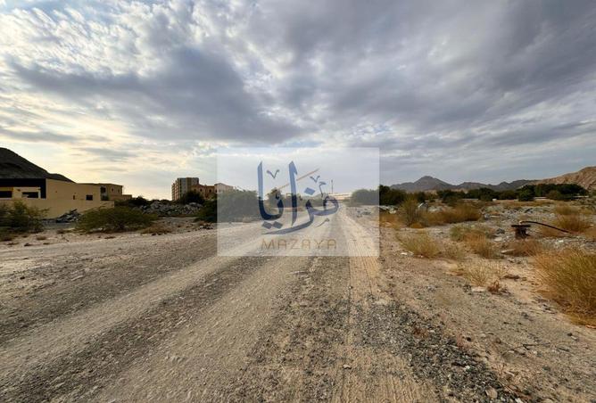 145052133 - Property Image 3