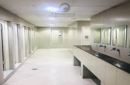 Labor Camp - Studio for sale in Jebel Ali Industrial 1 - Jebel Ali Industrial - Jebel Ali - Dubai