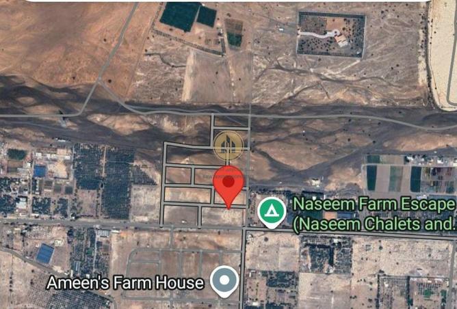 63669195 - Property Image 3