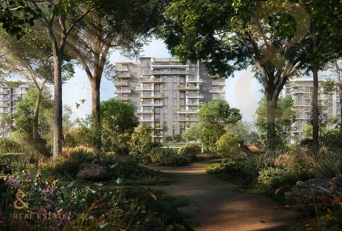 165037447 - Property Image 3