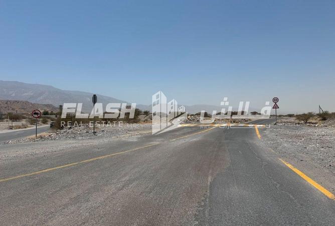107285656 - Property Image 3