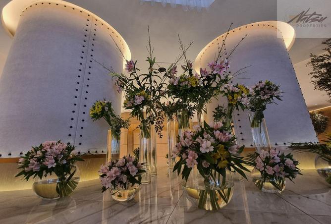 61661600 - صورة العقار 3