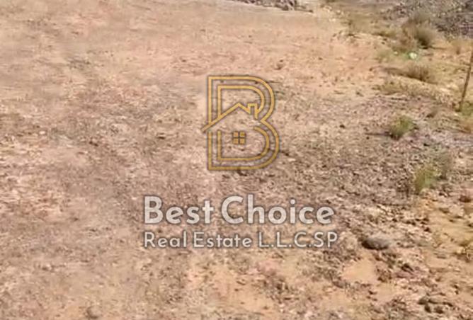 136537307 - Property Image 2