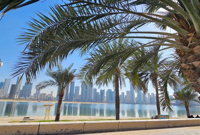 16000023 - صورة العقار 2