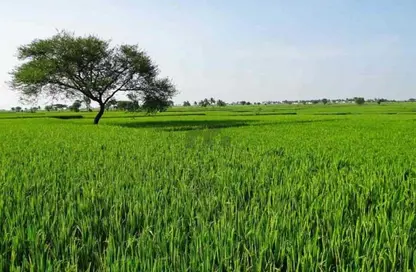 Farm - Studio for sale in Sweihan - Al Ain