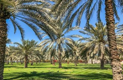 Farm - Studio for sale in Sweihan - Al Ain