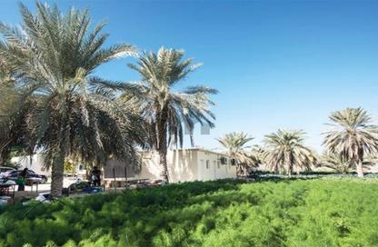 Farm - Studio for sale in Sweihan - Al Ain