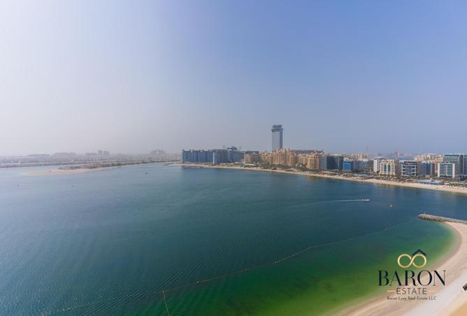 81923979 - صورة العقار 3