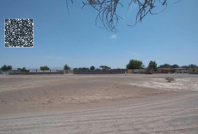 73858413 - Property Image 3