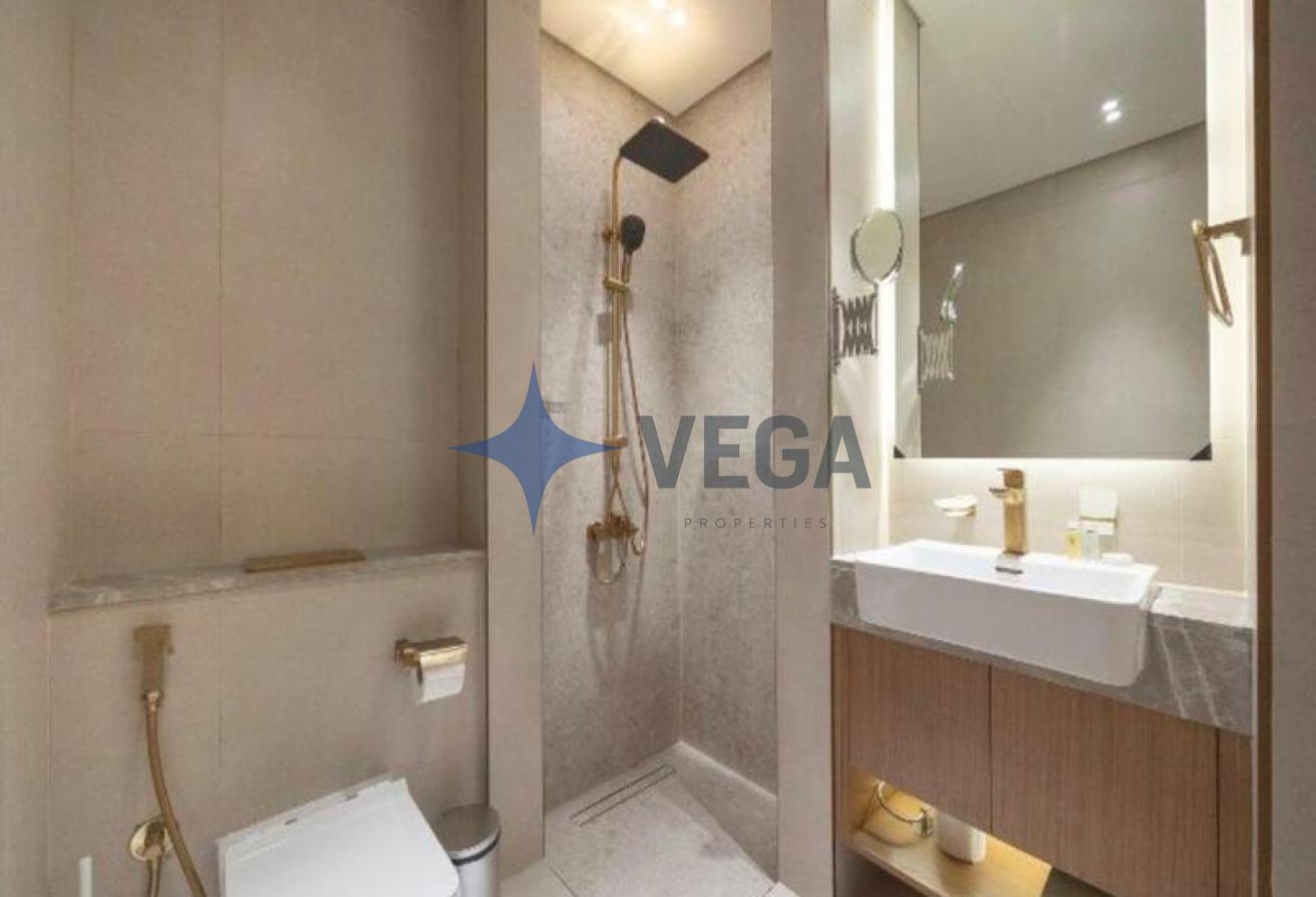 Furnished Studio | Ready to Move In | Open View photo 13