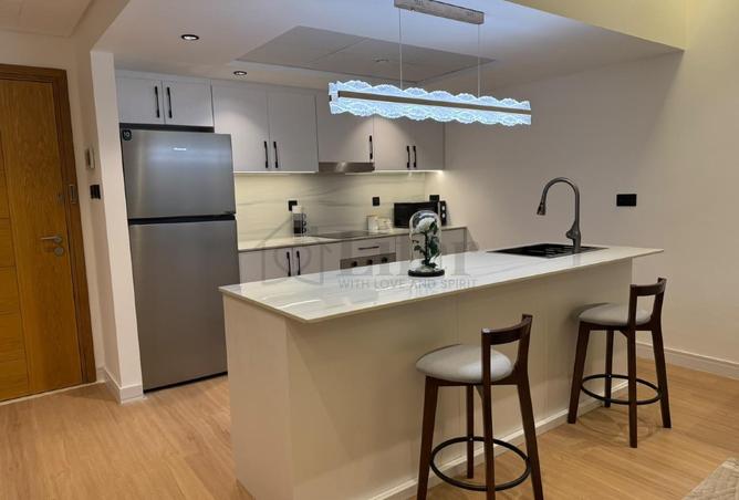 1 BR Apartment in Downtown, Burj khalifa view photo 3