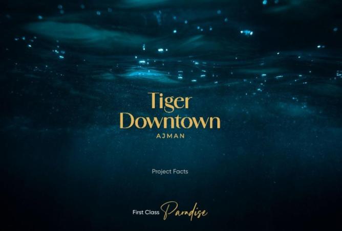 53181531 - Property Image 3