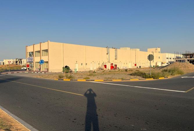 55742754 - Property Image 3