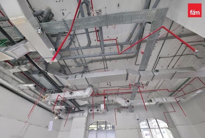 127011516 - Property Image 3