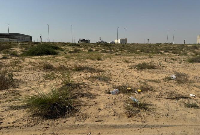 16045743 - Property Image 3