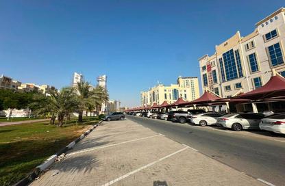 Apartment - 1 Bedroom - 2 Bathrooms for sale in Al Amira Village - Al Yasmeen - Ajman