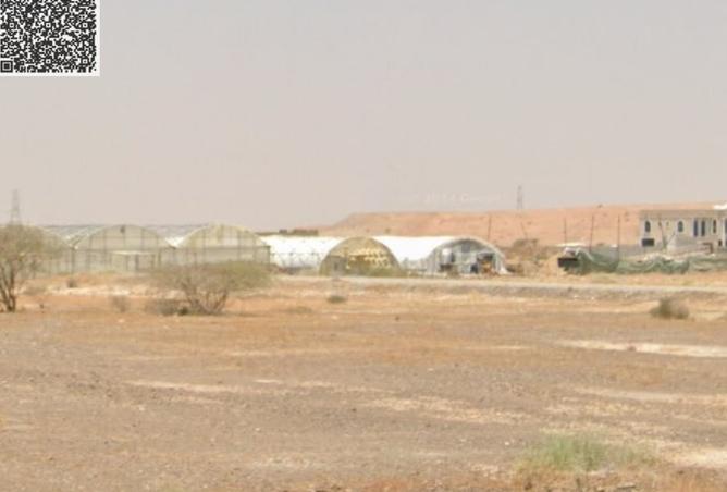 15959752 - صورة العقار 3