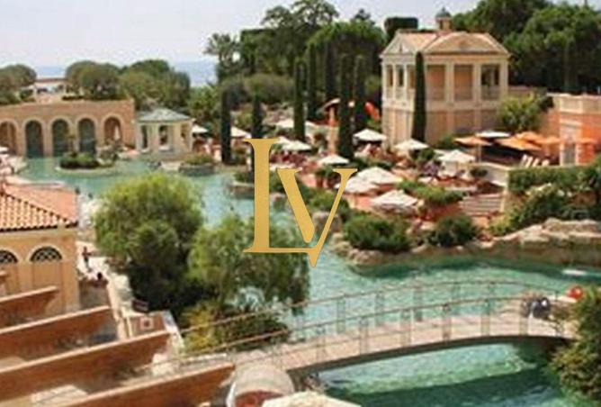 16239992 - Property Image 2